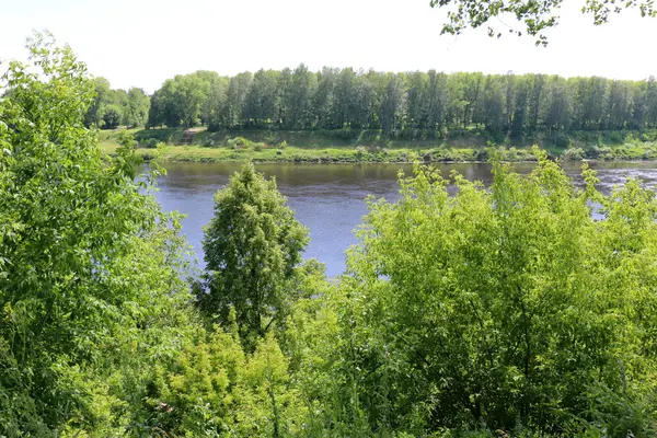 Summer in Belarus — Stock Photo, Image