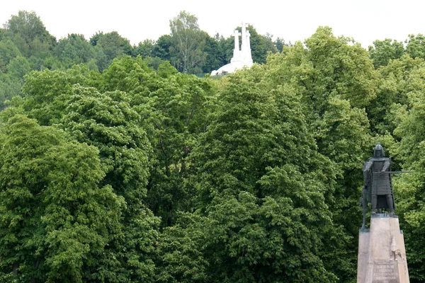 Cathédrale de Saint Stanislas — Photo