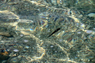 Akdeniz kıyısında 