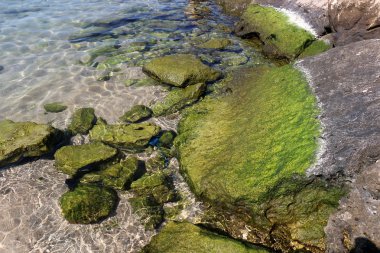 Akdeniz kıyısında 