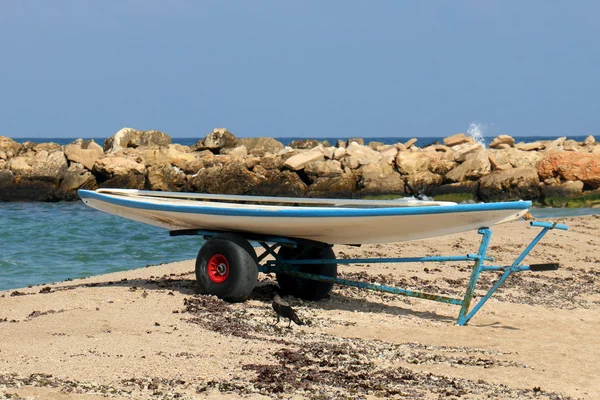 Shore of the Mediterranean Sea — Stock Photo, Image