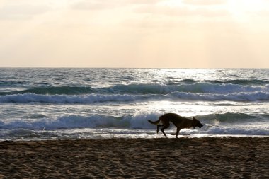 Akdeniz kıyısında 