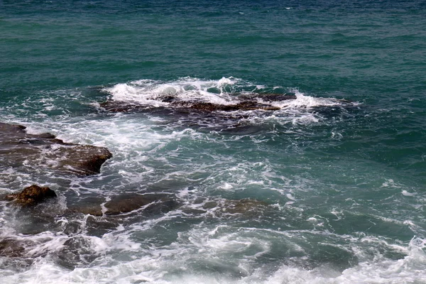 Shore of the Mediterranean Sea — Stock Photo, Image