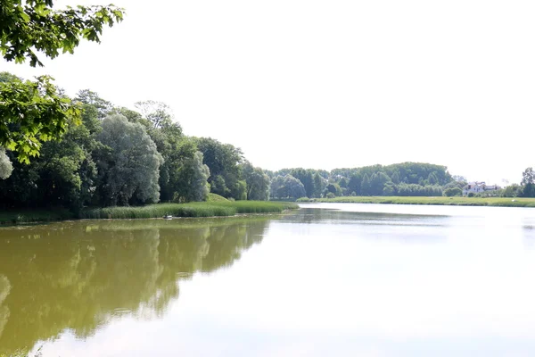 Immagini della natura primo piano — Foto Stock