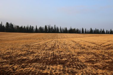 Yağmur için bekleyen doğa 