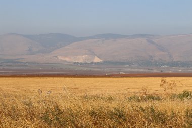 Yağmur için bekleyen doğa 
