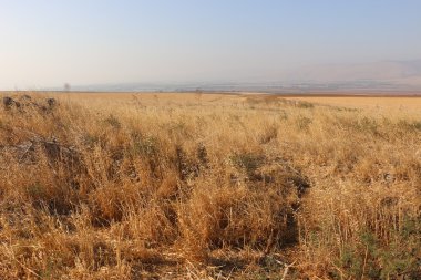 Yağmur için bekleyen doğa 