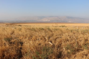 Yağmur için bekleyen doğa 