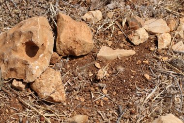 Yağmur için bekleyen doğa 