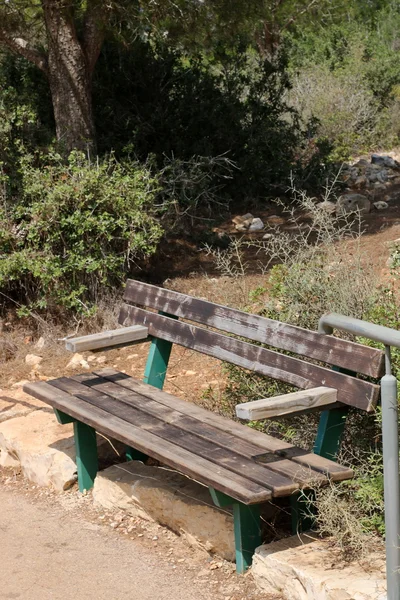 A bench in the park — Stock Photo, Image