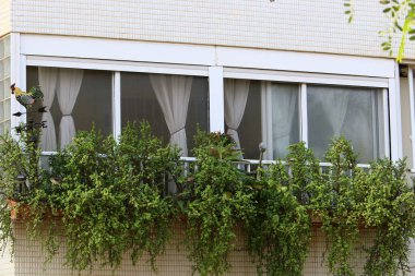 İsrail 'deki konut inşaatının mimari detayları 