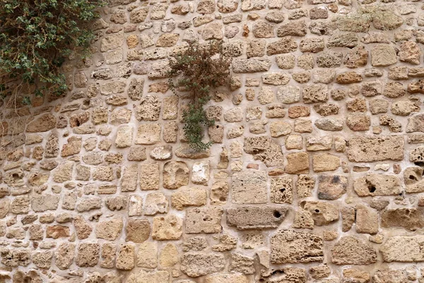 Mur Pierre Béton Dans Une Ancienne Forteresse Croisée Nord Etat — Photo