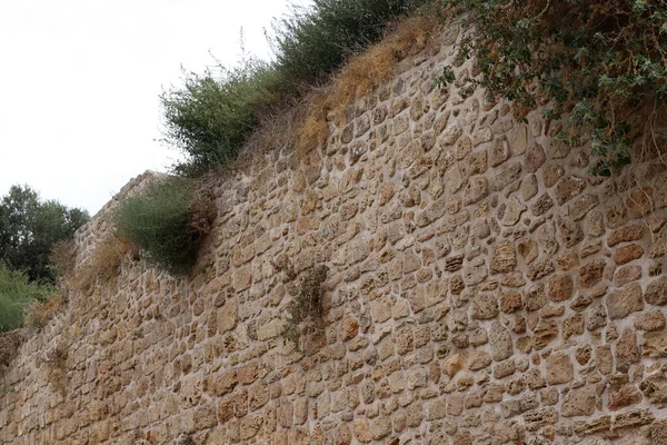 Muro Piedra Hormigón Una Antigua Fortaleza Cruzada Norte Del Estado — Foto de Stock