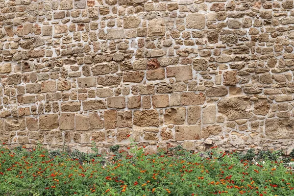 以色列国北部一个古老的十字军要塞的石墙和混凝土墙 — 图库照片