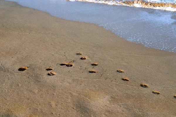 Footprints Sand Mediterranean Sea North State Israel Hot Autumn Israel — Stock Photo, Image