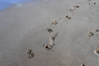 İsrail devletinin kuzeyindeki Akdeniz 'de kumdaki ayak izleri. İsrail 'de sıcak sonbahar. 