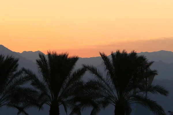 early morning and sunrise on the shores of the Red Sea in southern Israel in Eilat
