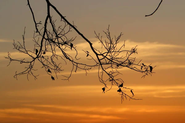 Früher Morgen Und Sonnenaufgang Ufer Des Roten Meeres Südisrael Eilat — Stockfoto