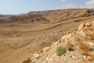 İsrail 'in güneyindeki Negev çölünde manzara. Çöl İsrail topraklarının% 60 'ını kaplıyor. 