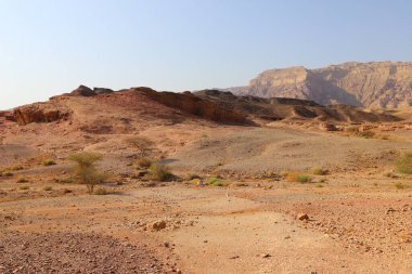 İsrail 'in güneyindeki Negev çölünde manzara. Çöl İsrail topraklarının% 60 'ını kaplıyor. 