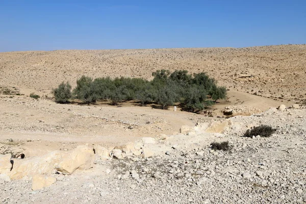 Пейзаж Пустелі Негев Півдні Ізраїлю Пустеля Займає Території Ізраїлю — стокове фото