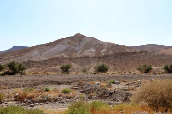 Пейзаж Пустыне Негев Юге Израиля Пустыня Занимает Территории Израиля — стоковое фото