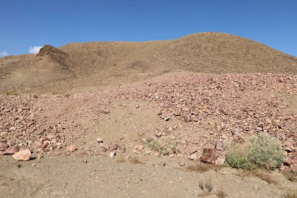 Srail Güneyindeki Negev Çölünde Manzara Çöl Srail Topraklarının Inı Kaplıyor — Stok fotoğraf