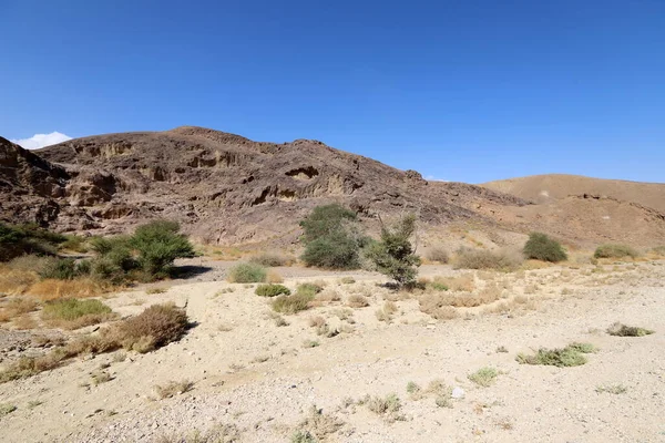 Пейзаж Пустыне Негев Юге Израиля Пустыня Занимает Территории Израиля — стоковое фото