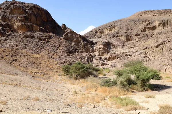 南イスラエルのネゲヴ砂漠の風景 砂漠はイスラエルの領土の60 を占めています — ストック写真