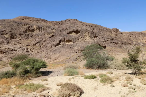 Τοπίο Στην Έρημο Negev Στο Νότιο Ισραήλ Έρημος Καταλαμβάνει Του — Φωτογραφία Αρχείου