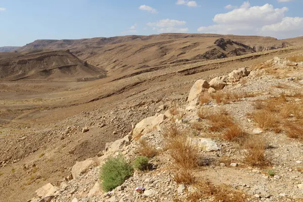 Tájkép Negev Sivatagban Dél Izraelben Izrael Területének Sivatag Foglalja — Stock Fotó