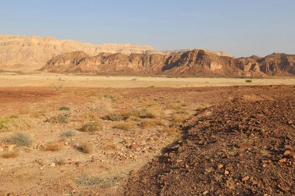 南イスラエルのネゲヴ砂漠の風景 砂漠はイスラエルの領土の60 を占めています — ストック写真