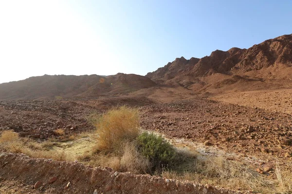 Srail Güneyindeki Negev Çölünde Manzara Çöl Srail Topraklarının Inı Kaplıyor — Stok fotoğraf