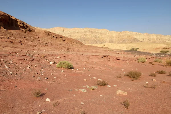 Krajobraz Pustyni Negew Południowym Izraelu Pustynia Zajmuje Terytorium Izraela — Zdjęcie stockowe