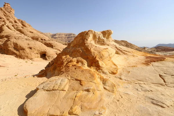 이스라엘 남부네 사막의 이스라엘 영토의 차지하는 — 스톡 사진