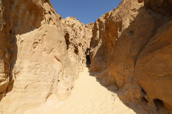 Paysage Dans Désert Néguev Dans Sud Israël Désert Occupe Territoire — Photo