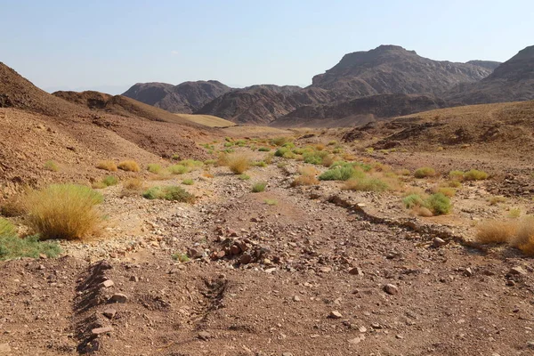 Paysage Dans Désert Néguev Dans Sud Israël Désert Occupe Territoire — Photo