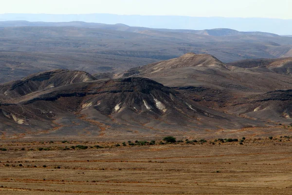 Srail Güneyindeki Negev Çölünde Manzara Çöl Srail Topraklarının Inı Kaplıyor — Stok fotoğraf