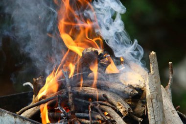 Kızarmış et kebabını ateşe verdikten sonra şöminede parlak bir ateşle odun yakmak. Ormanda piknik. 