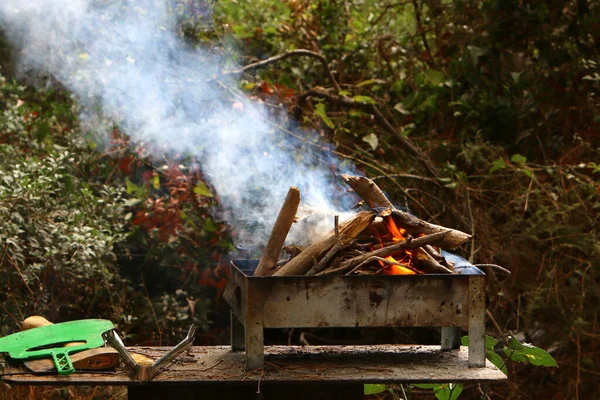 Brûler Bois Chauffage Avec Une Flamme Vive Dans Une Grille — Photo