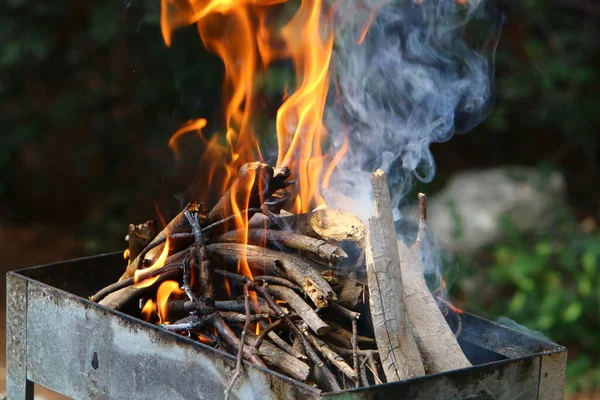 Palenie Drewna Opałowego Jasnym Płomieniem Żelaznym Grillu Podpaleniu Kebabów Mięsnych — Zdjęcie stockowe