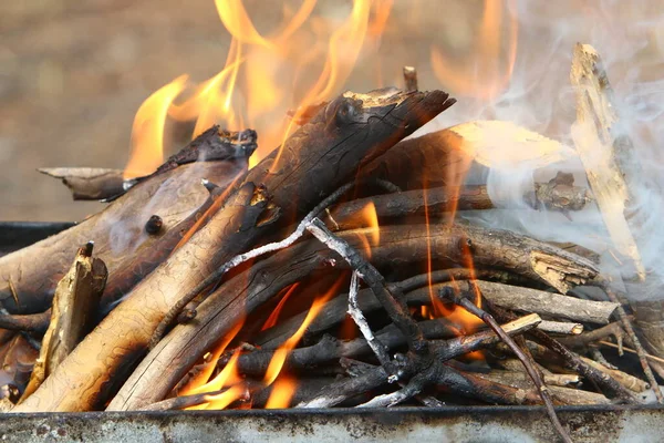 Palenie Drewna Opałowego Jasnym Płomieniem Żelaznym Grillu Podpaleniu Kebabów Mięsnych — Zdjęcie stockowe