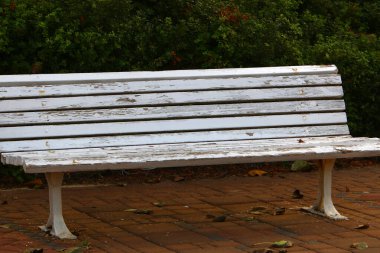 İsrail 'in kuzeyinde Akdeniz kıyısındaki bir şehir parkında dinlenmek için bir bank. 