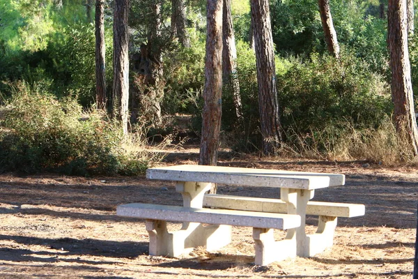 Bench Rest City Park Shores Mediterranean Sea Northern Israel — Stock Photo, Image