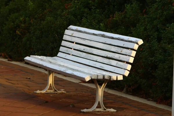 Banco Para Descanso Parque Cidade Nas Margens Mar Mediterrâneo Norte — Fotografia de Stock