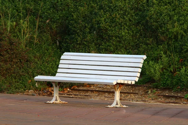 Lavička Odpočinku Městském Parku Pobřeží Středozemního Moře Severním Izraeli — Stock fotografie