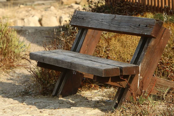 Egy Pihenőpad Egy Városi Parkban Földközi Tenger Partján Észak Izraelben — Stock Fotó
