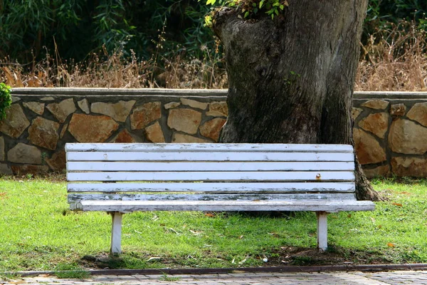 Bänk För Vila Stadspark Vid Medelhavets Stränder Norra Israel — Stockfoto