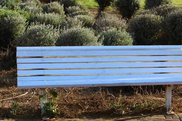 Bench Rest City Park Shores Mediterranean Sea Northern Israel — Stock Photo, Image