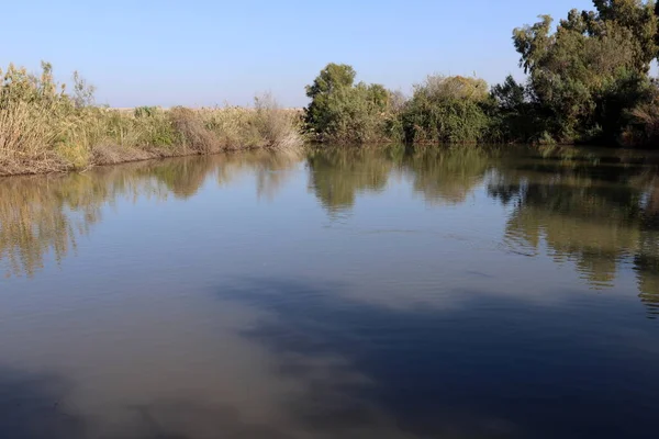 Trees and shrubs grow on the banks of a river in a city park in northern Israel.